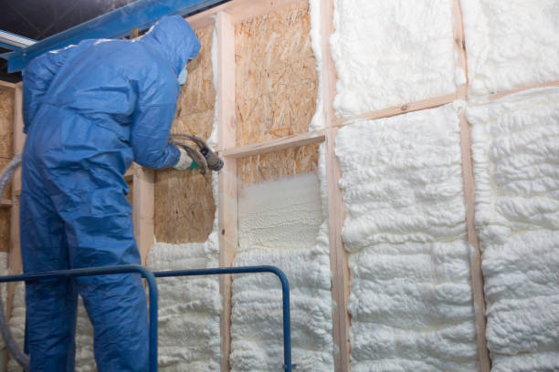 Best Eco-Friendly or Green Insulation Solutions in USA